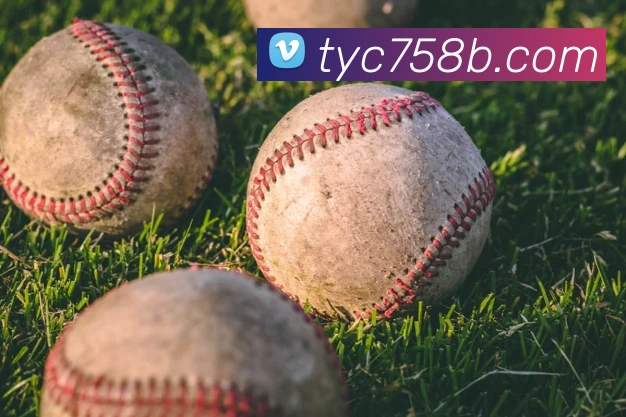 奖项图3
